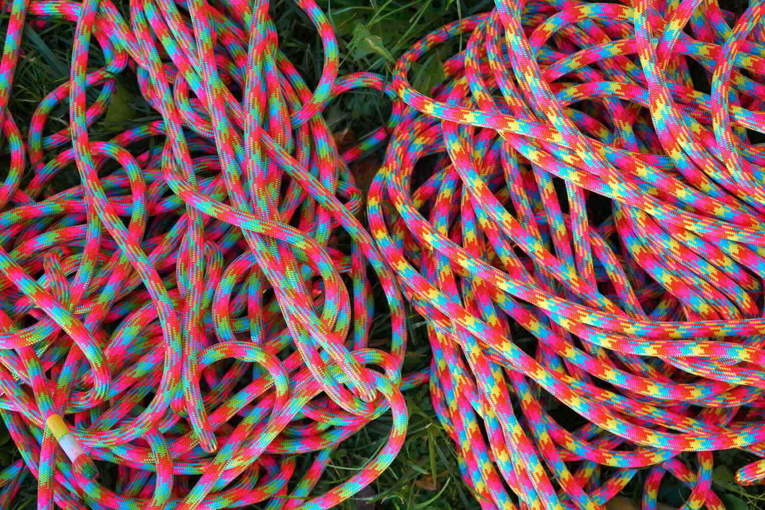 Obliekli sme laná do Neónu