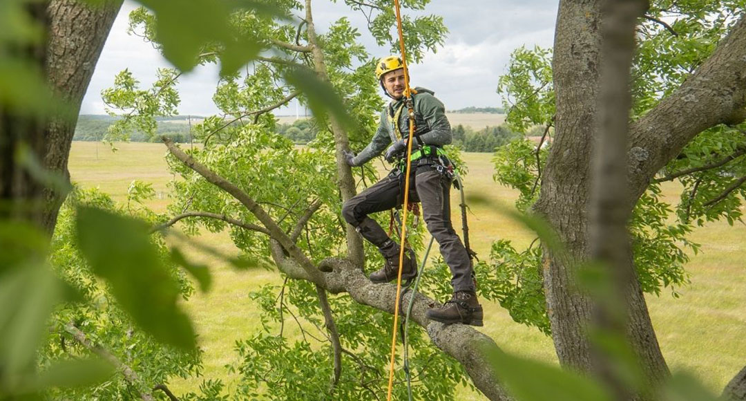 Kompletné vybavenie pre stromolezcov